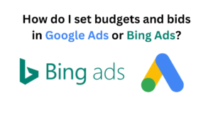 How do I set budgets and bids in Google Ads or Bing Ads?