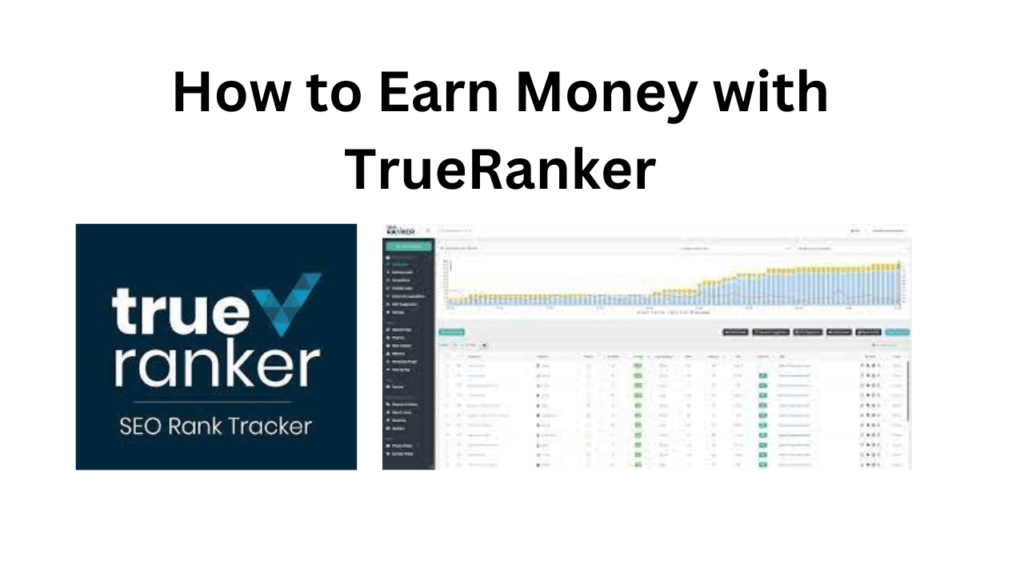 How to Earn Money with TrueRanker