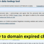How to domain expired check