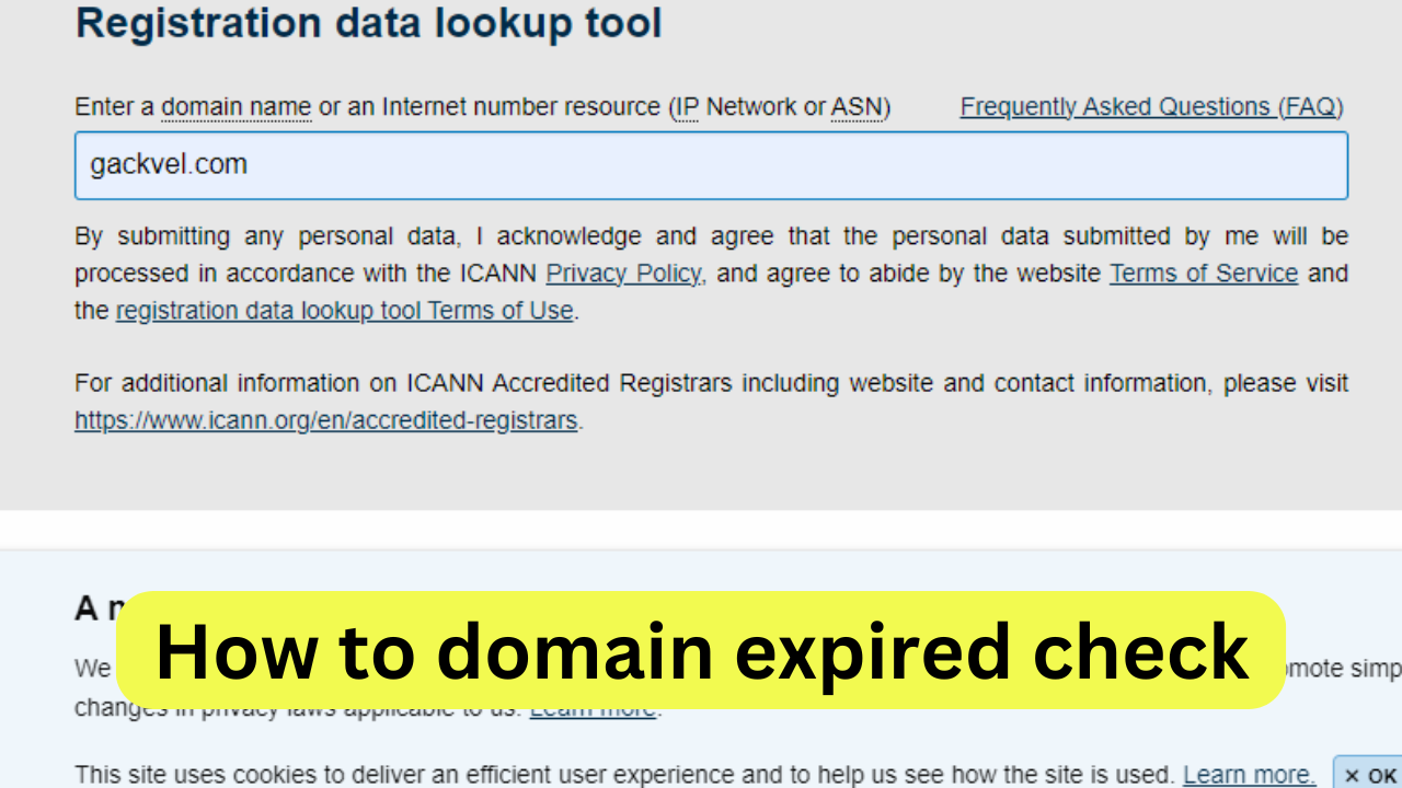 How to domain expired check