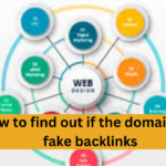 How to find out if the domain has fake backlinks