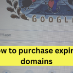 How to purchase expired domains