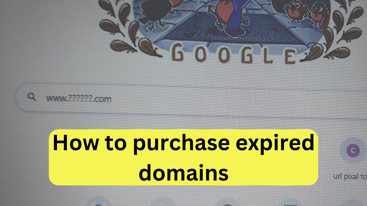 How to purchase expired domains