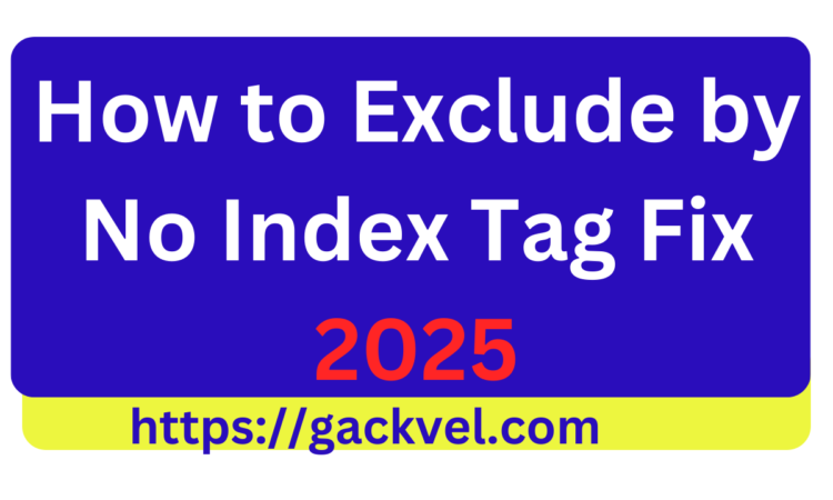 how to exclude by no index tag fix  BEST 2025