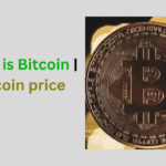 What is Bitcoin | bitcoin price